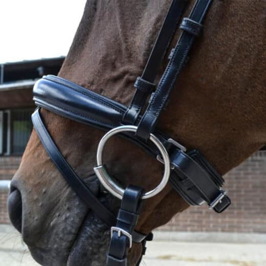 Fair Anatomisk Trense