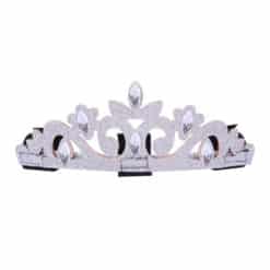 Bridle Crown Silver