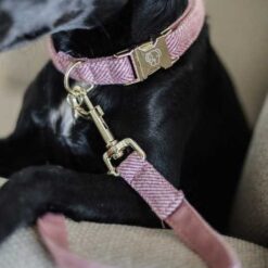 Hundesnor i Uld