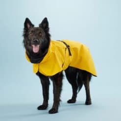 Visibility Lite Raincoat Hundejakke