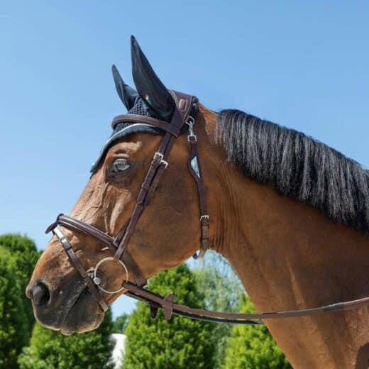 EQUILINE Testiera Anatomisk Spring Trense - Image 2