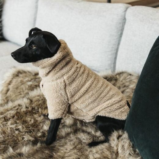 Teddy Fleece Hundesweater
