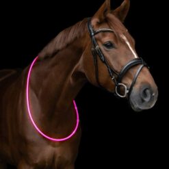 Hest med LED Halsring pink