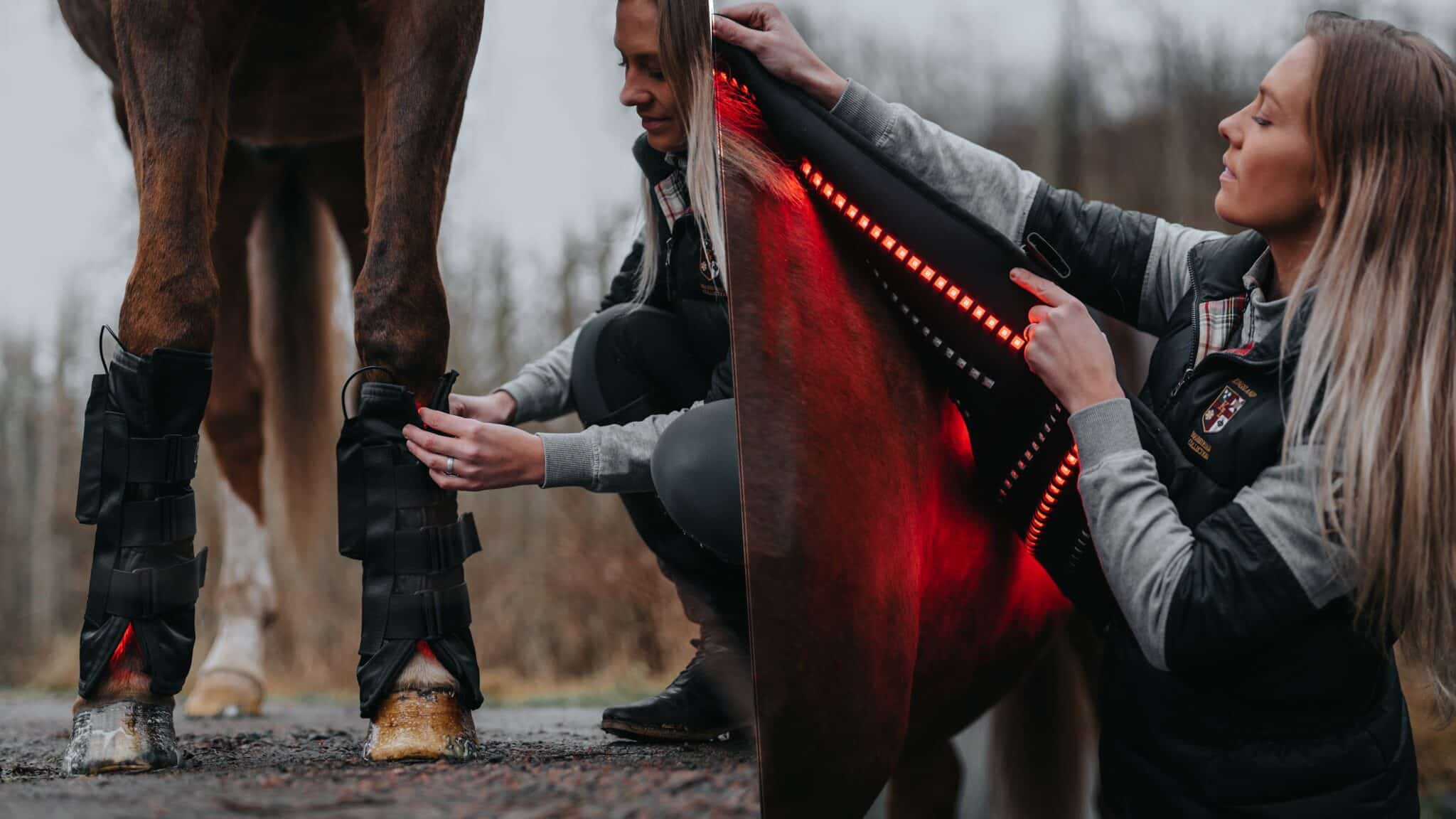 Cheval LTS