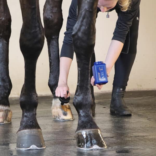 Nathalie Hoof Oil