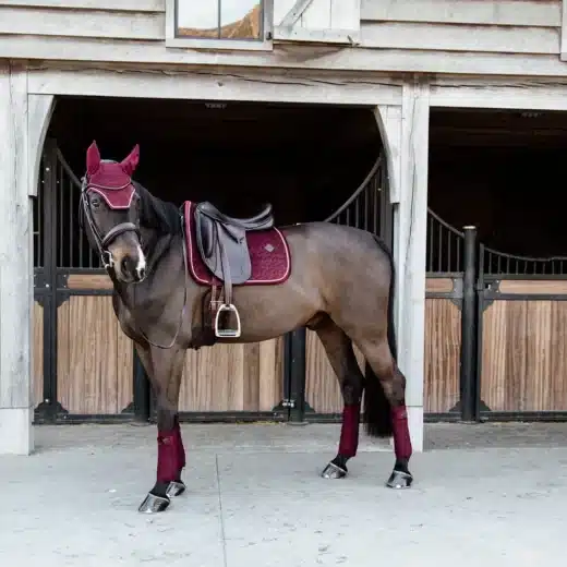 KENTUCKY HORSEWEAR Wellington Velvet Hut - Image 3