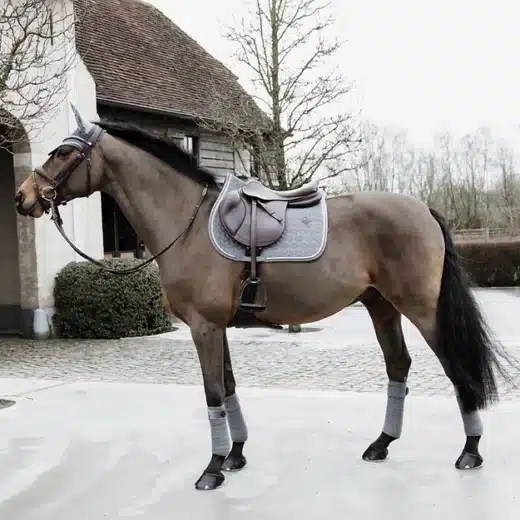 KENTUCKY HORSEWEAR Velvet "Basic" Springunderlag - Image 2