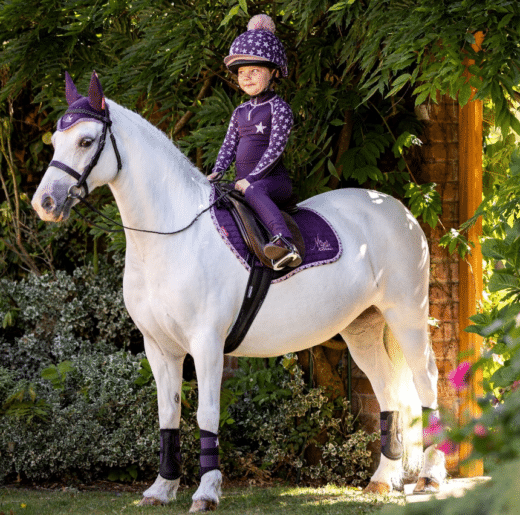 LEMIEUX Mini Fly Hood - Image 2