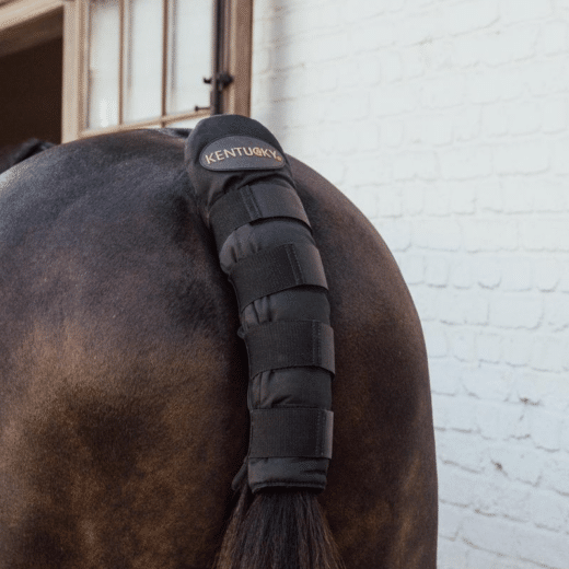 KENTUCKY HORSEWEAR Pro Halebeskytter