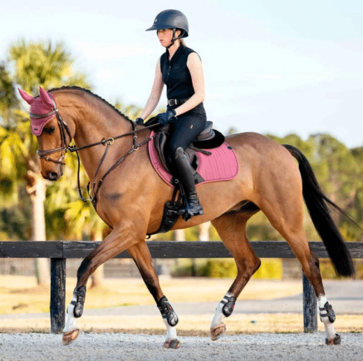 LEMIEUX Essence EuroJump Underlag - Image 6