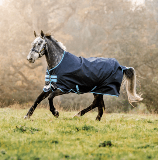 HORSEWARE Amigo Bravo-12 100g