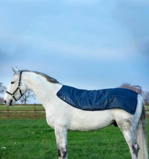 HORSEWARE Rambo Summer Series Turnout Disc Front, 0g - Image 3