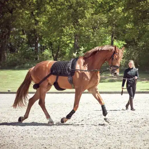 CATAGO FIR-TECH Træningunderlag 16" - Image 3
