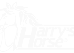 Harry's Horse